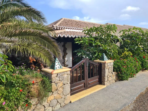 The wooden garden gate between stone pillars, beneath a palm