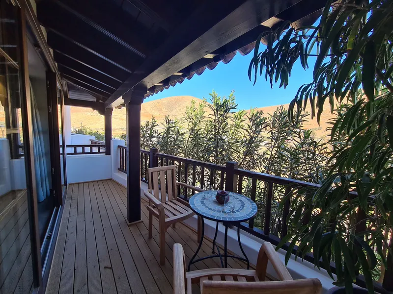 The covered terrace with a mosaic table among the oleanders