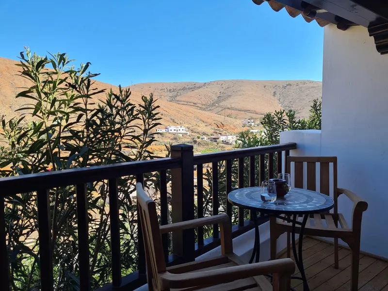 The terrace among oleanders, looking towards the mountains
