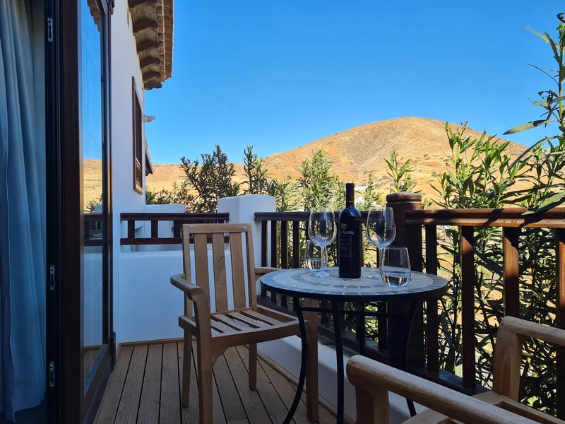 The terrace table with wine and glasses, the mountain beyond